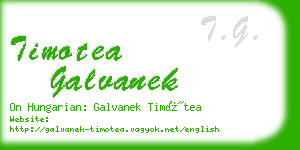 timotea galvanek business card